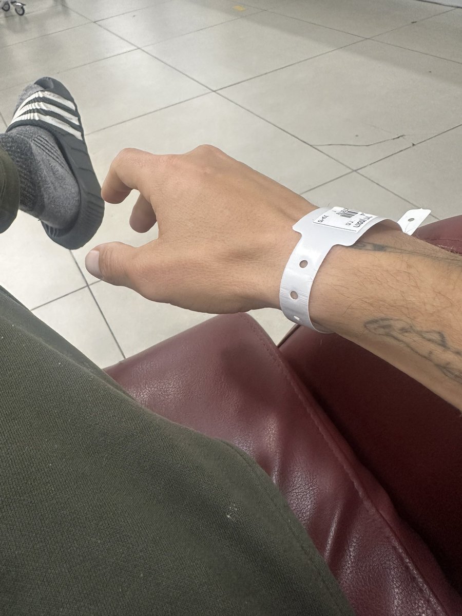 dor hoffman tweet media