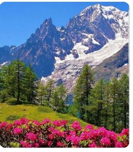 Günaydın sevgili ülkemin sevgili yurttaşları gününüz güzel geçsin iyilik iyidir 🌞🌿🌻🌴☕.