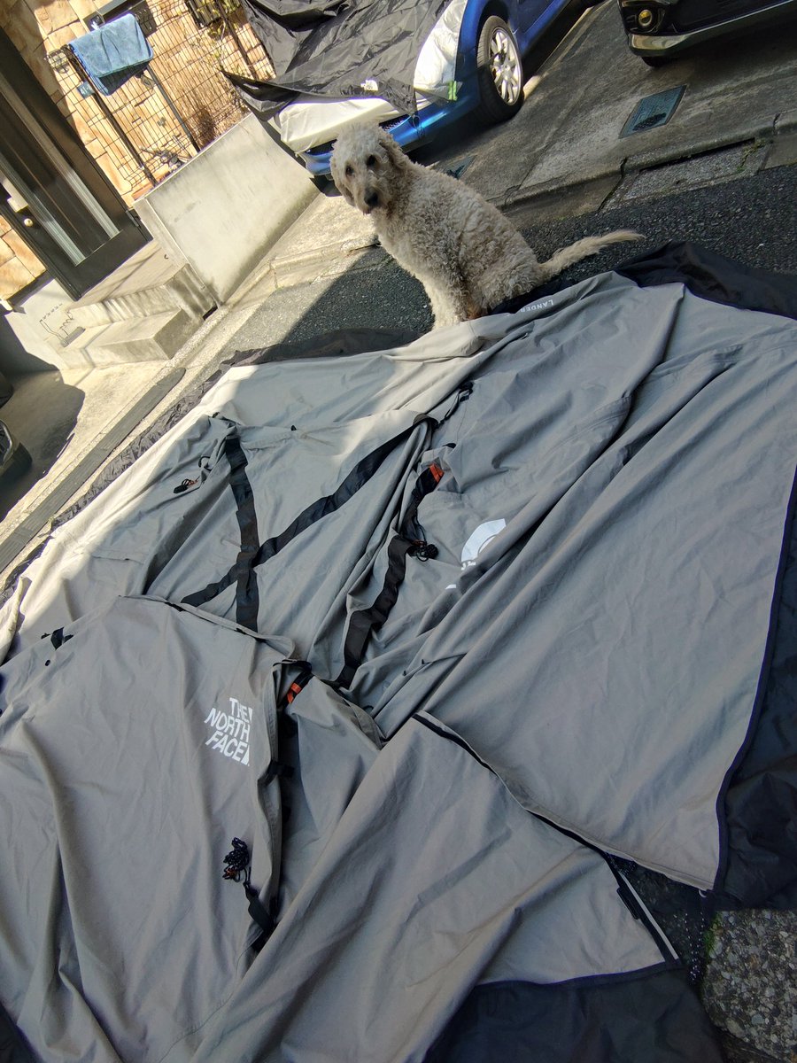 ライ太さん tweet media