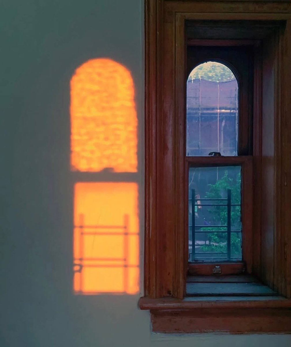 Вид из твоего окна