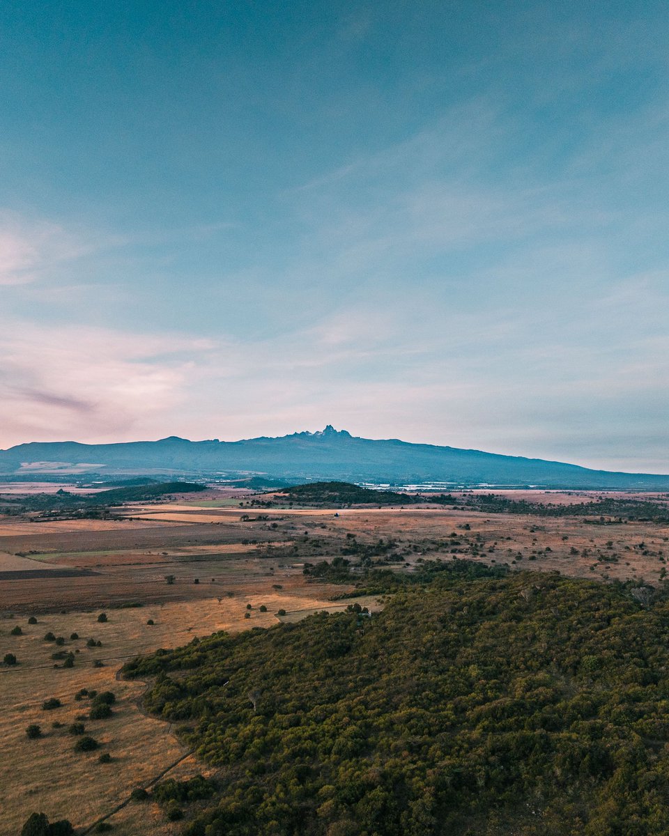 Onchomba Makori tweet media