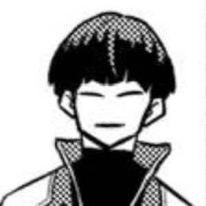 HOSHINA tweet media