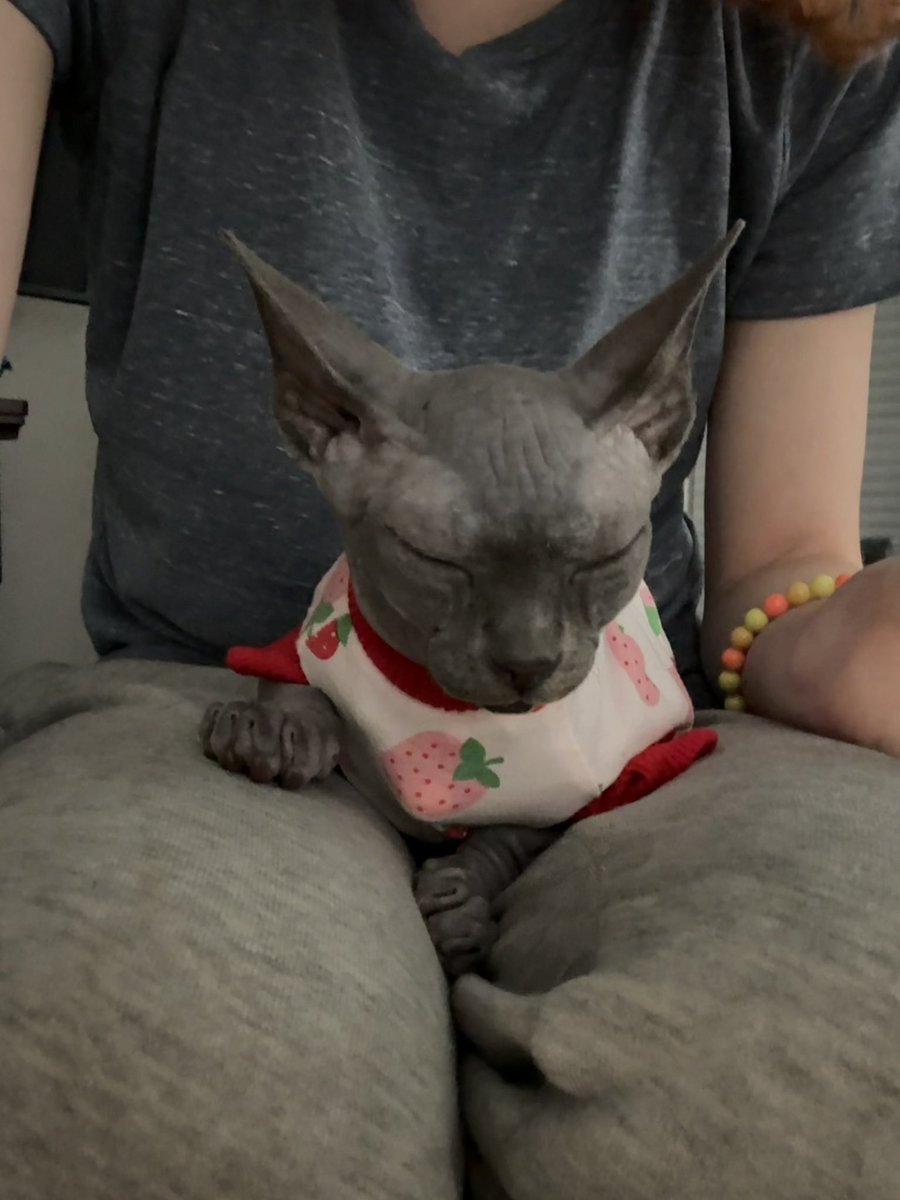 Mel 🪐 tweet media