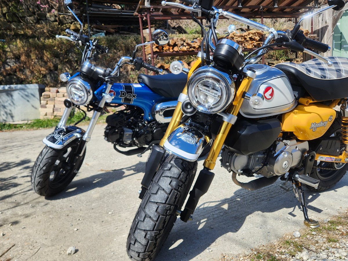 バサラ tweet media