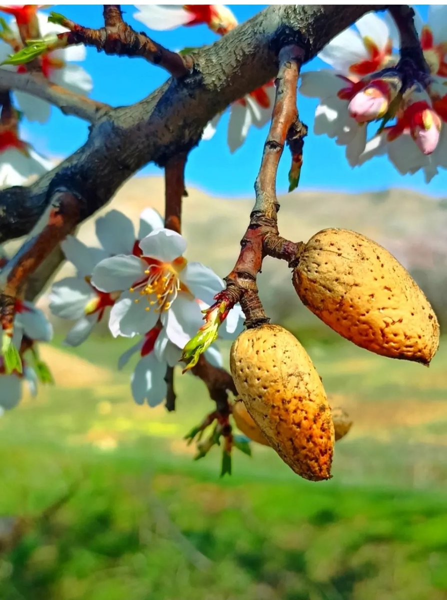 Hüseyin TULUK tweet media