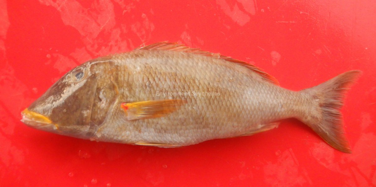 John Nevill tweet media