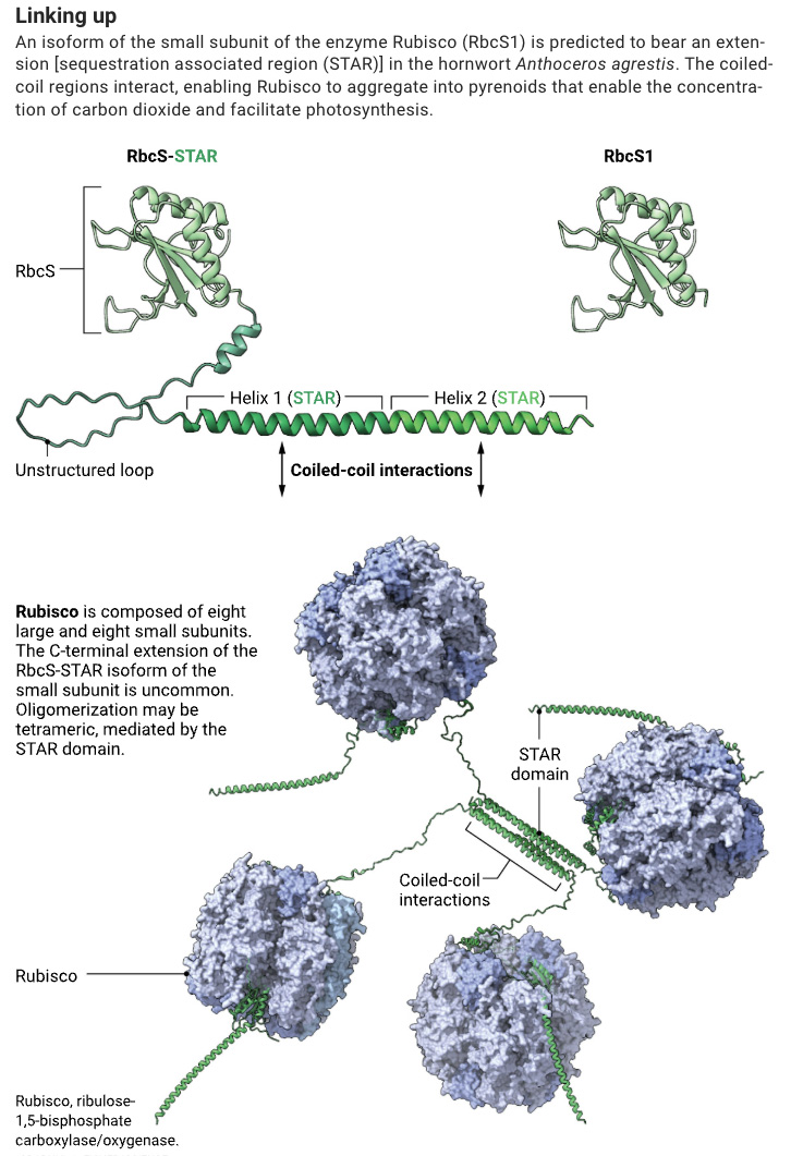 Science Magazine tweet media