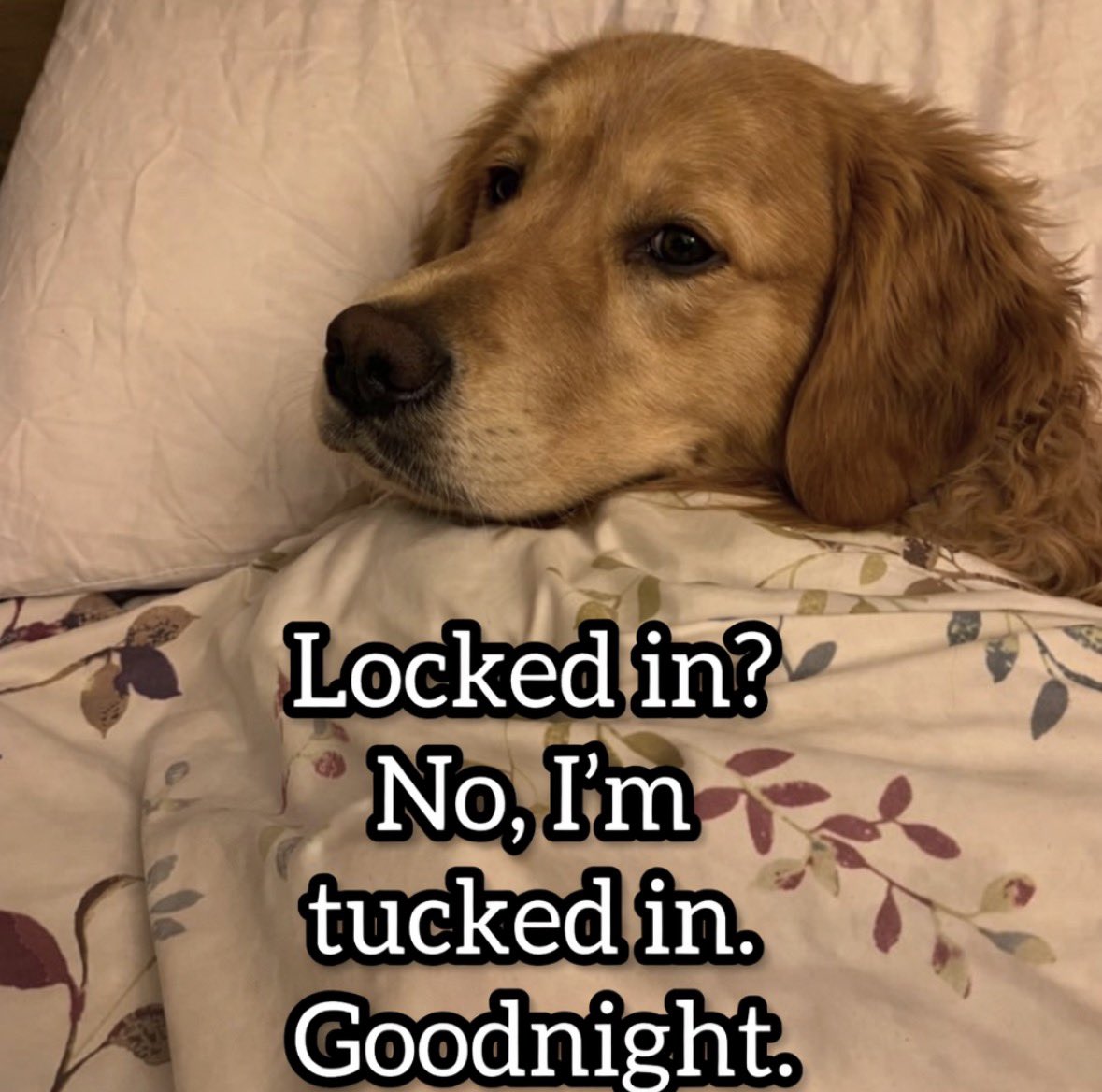 Respectful Memes (@respectfulmemes) on Twitter photo 