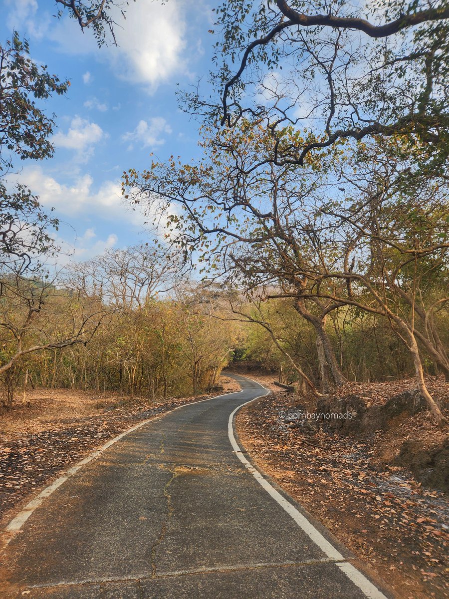 Bombay Nomads tweet media