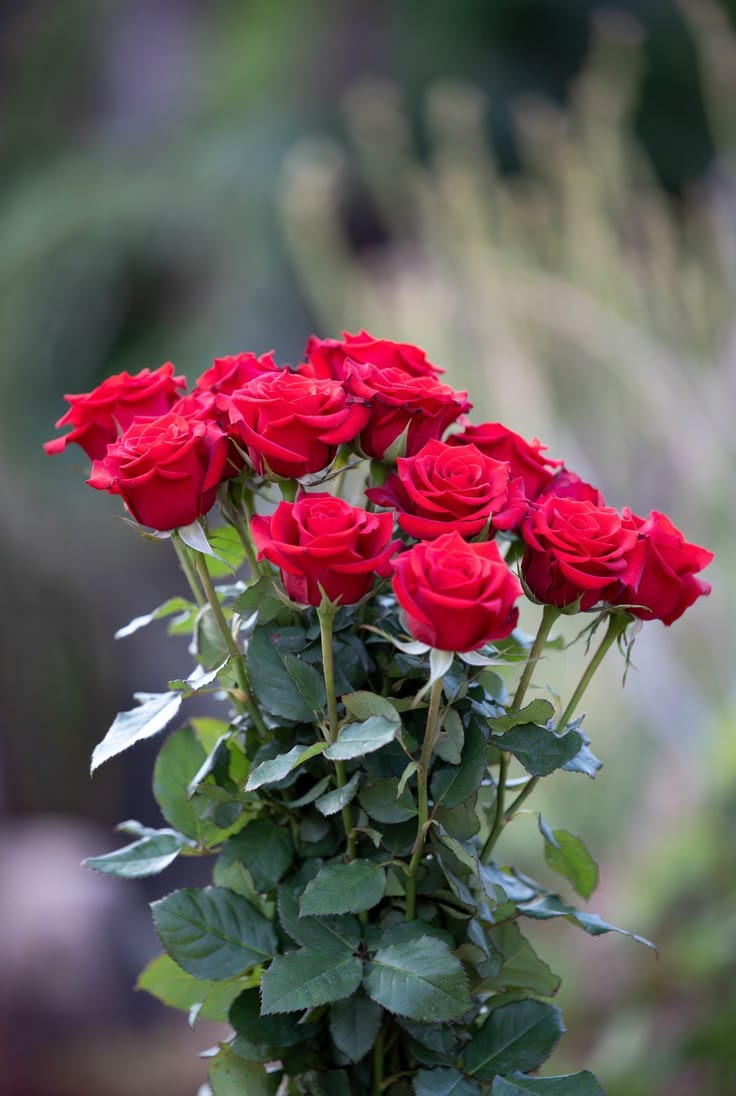 🌹Good morning friends ❤️🌀
Have a good day  💕🍰🎂🤍