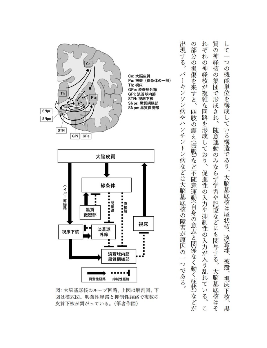 生成AIに関して、神経科学とか認知心理学とか技術解説とか規制ライセンス市場の話とか、自己満足系同人誌を作っている。とりあえず、来週の学会で配ってみたい。