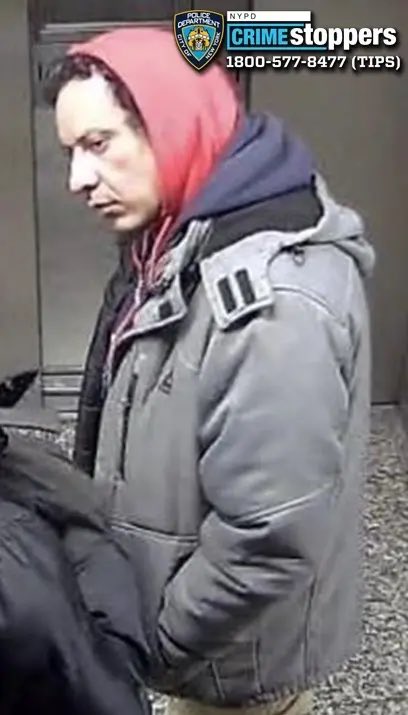 Libs of TikTok tweet media