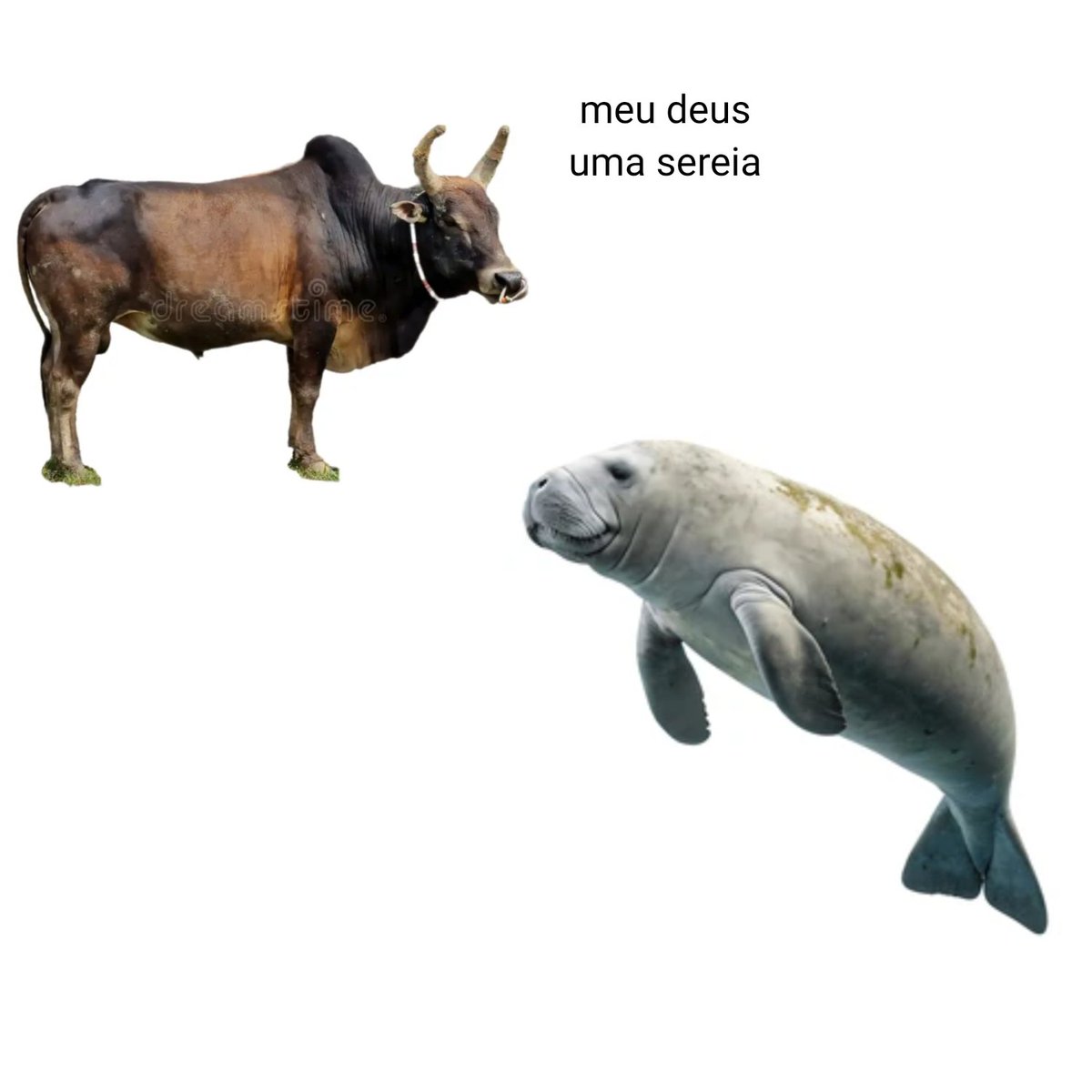 Beatriz Rodrigues 🐐💜🧩 tweet media