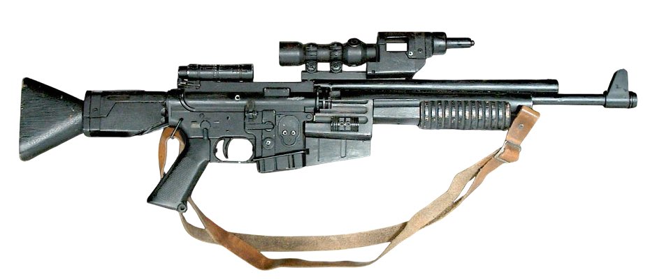 Vera Fox 🏳️‍⚧️🦊 tweet media