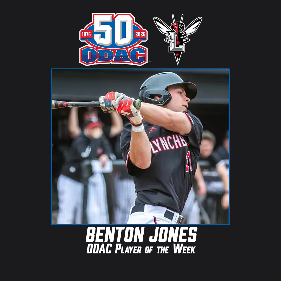 Valley Baseball League tweet media