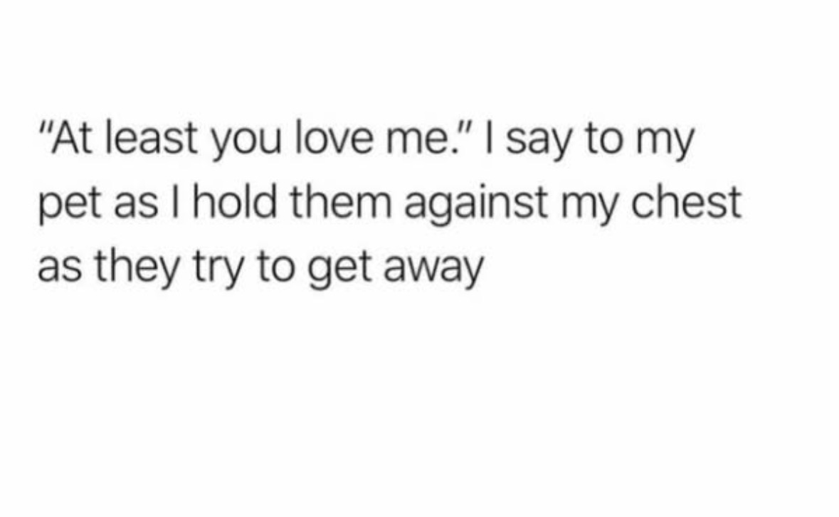 RespectfulMemes's tweet photo. https://t.co/JTFWjiFskF