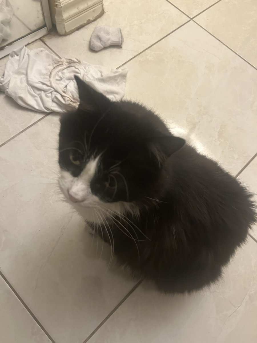 Hiroto Takahashi tweet media