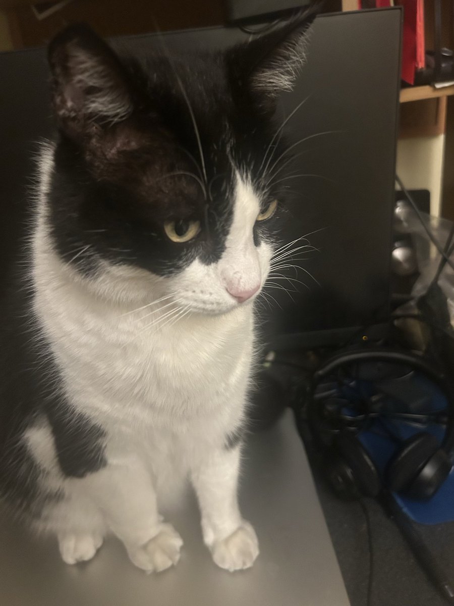 Hiroto Takahashi tweet media