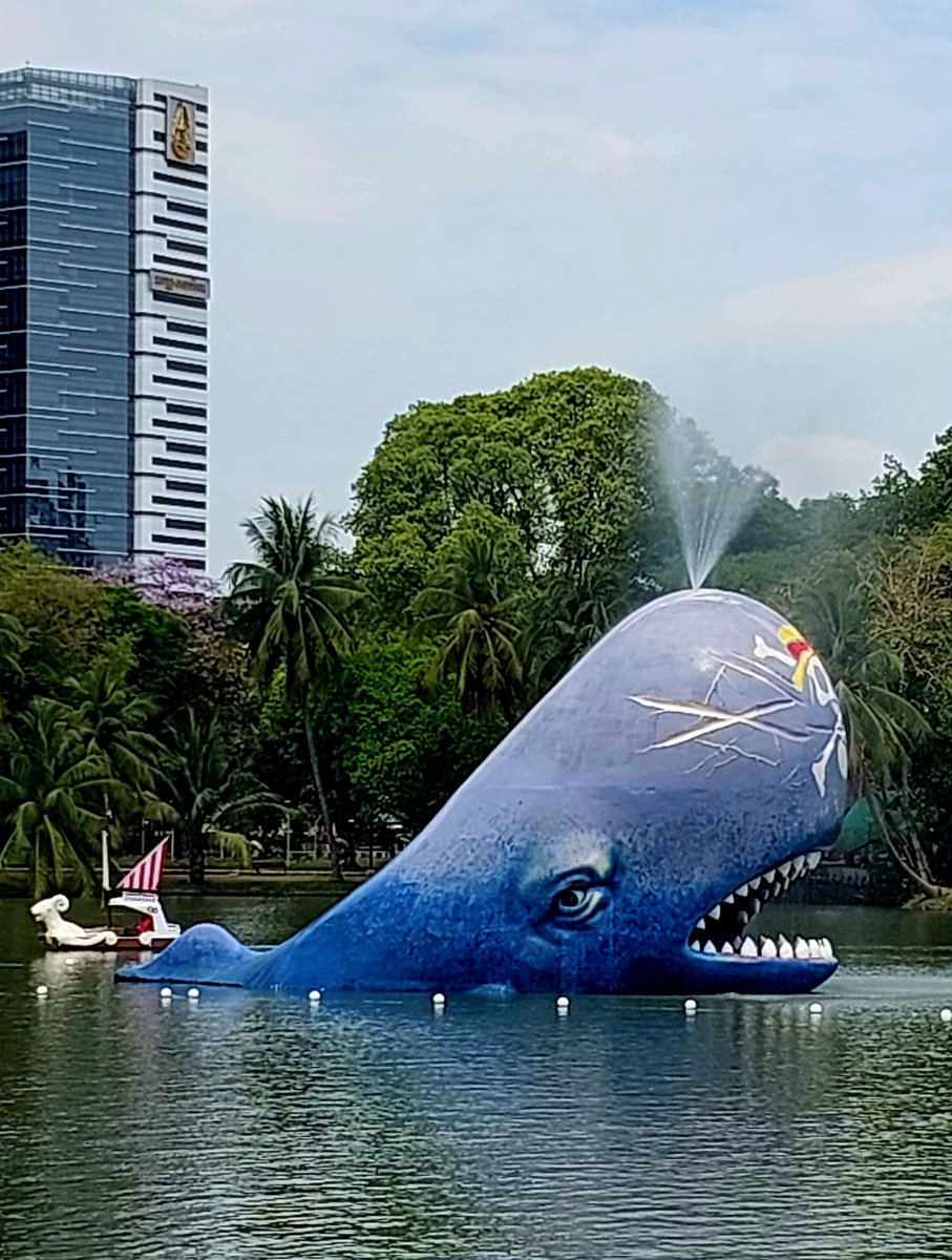 Scottify tweet media