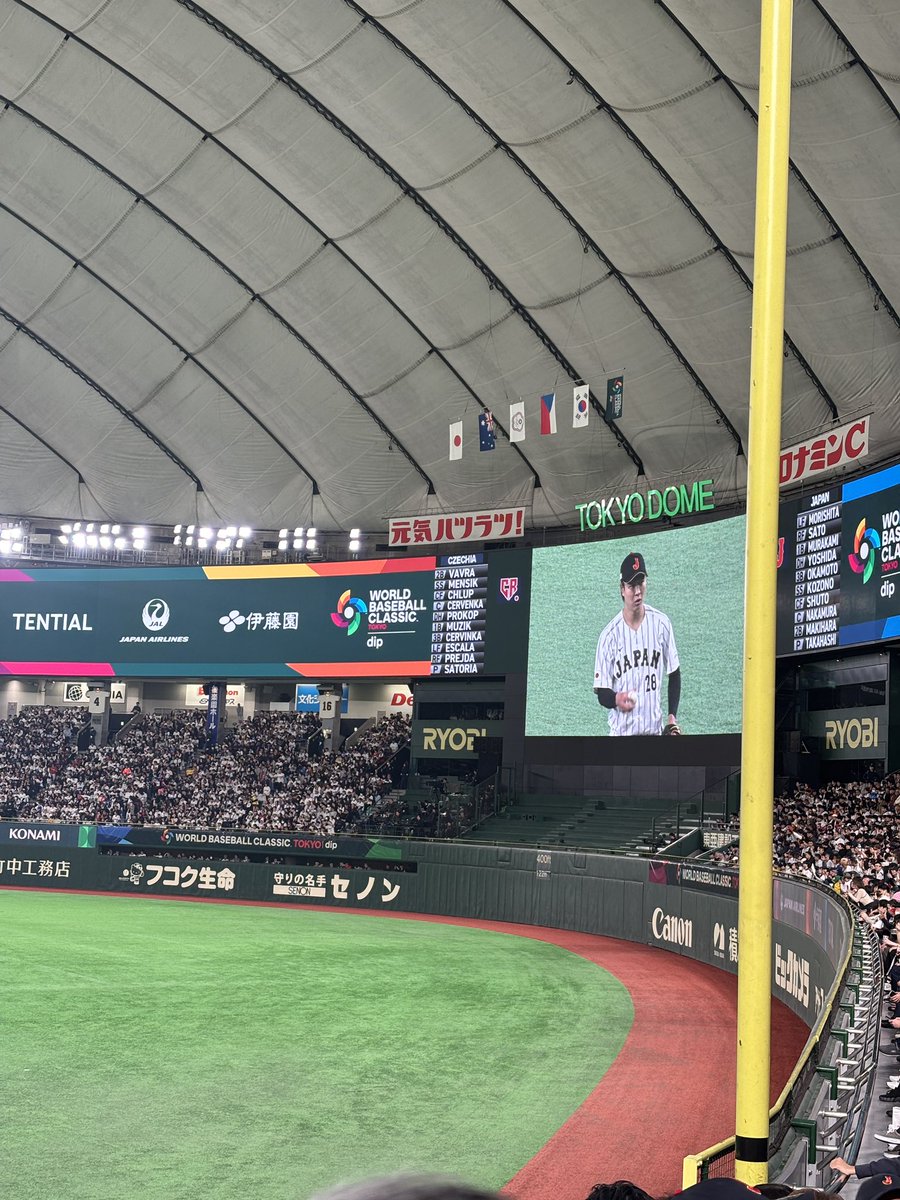 Linolino_Official tweet media