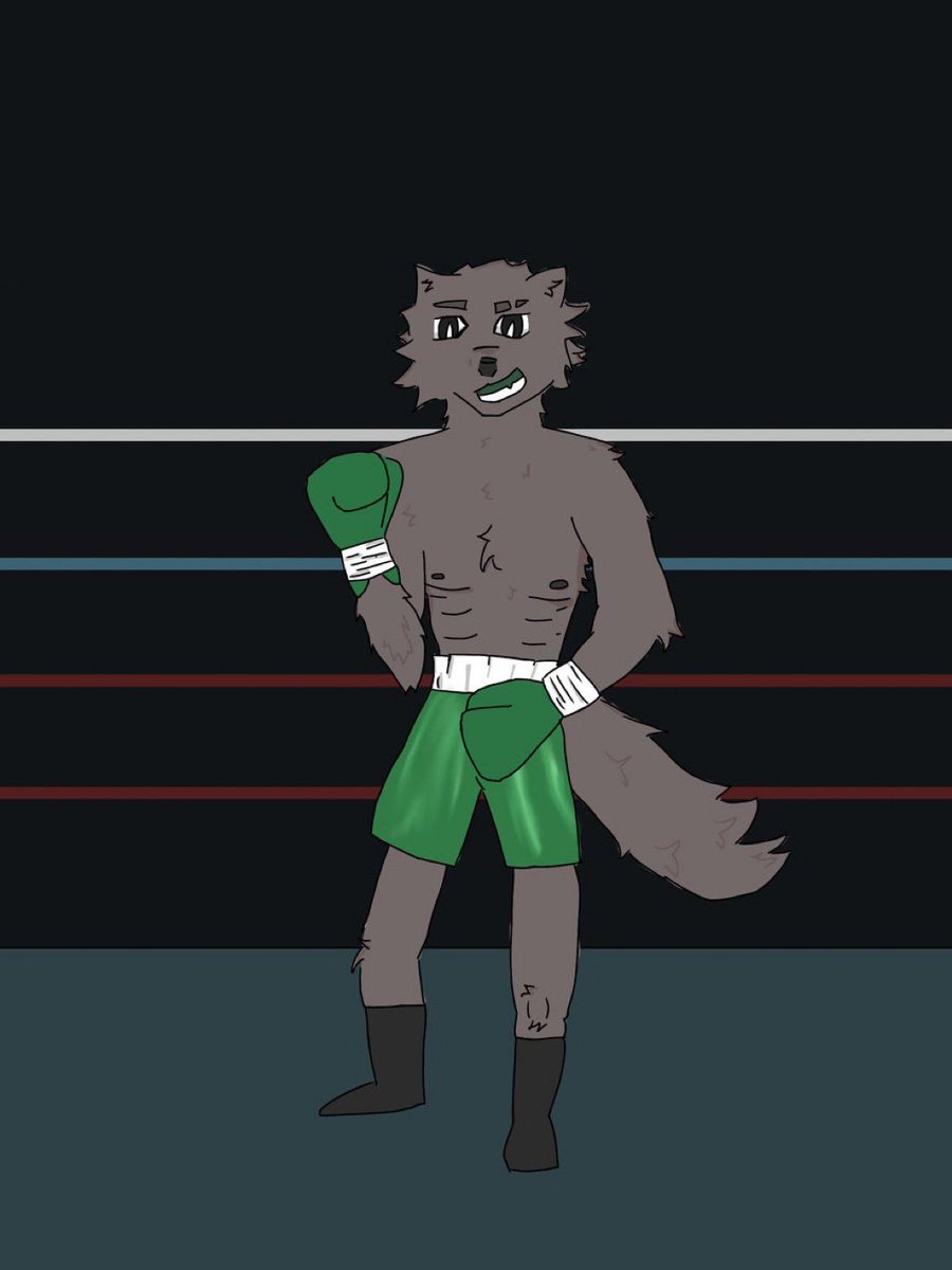 BoxingPup tweet media
