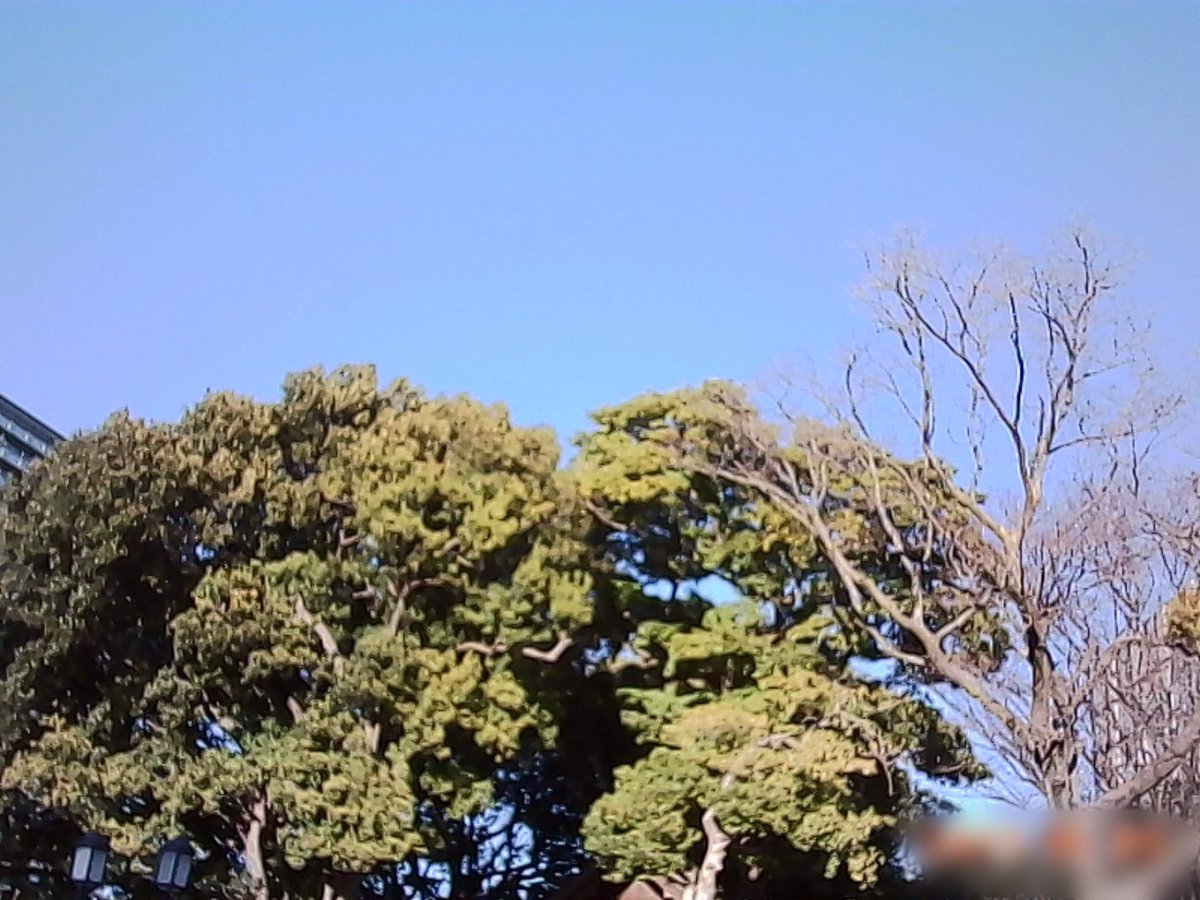 Yuika99's tweet image. 昨日のスペースで話してたCharmeraの画像やっと取り込んで確認できた！

画質が初期の写メって感じで懐かしいー
いいねー

しかし、日付は毎回ちゃんと設定しないと間違った日付になってしまうことがわかった
次から気をつけようっと
#charmera