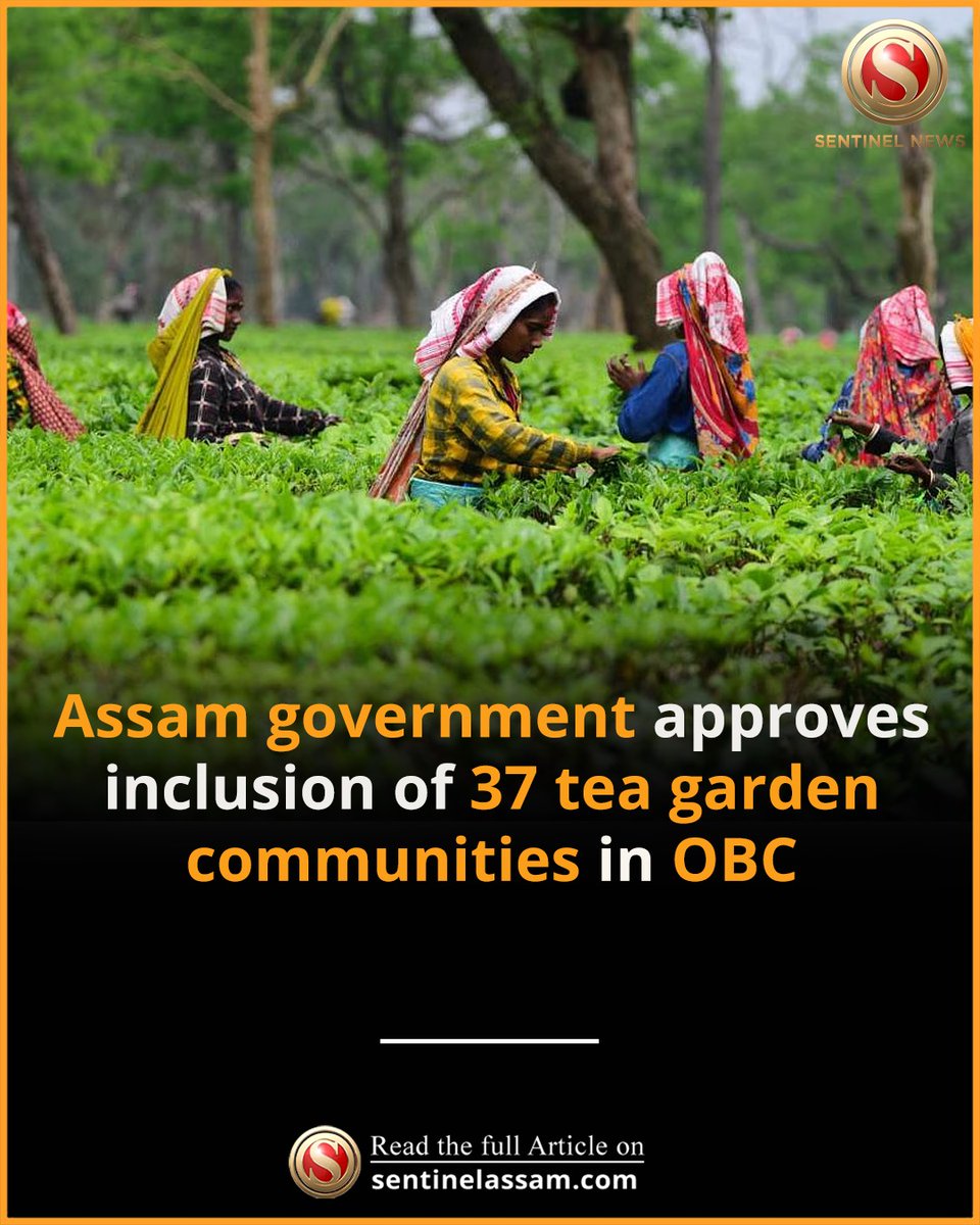 Sentinel_Assam's tweet image. The Assam government on March 10 approved the inclusion of 37 tea garden communities in the Other Backward Classes (OBC) category. 

#thesentinel #OBC #tea