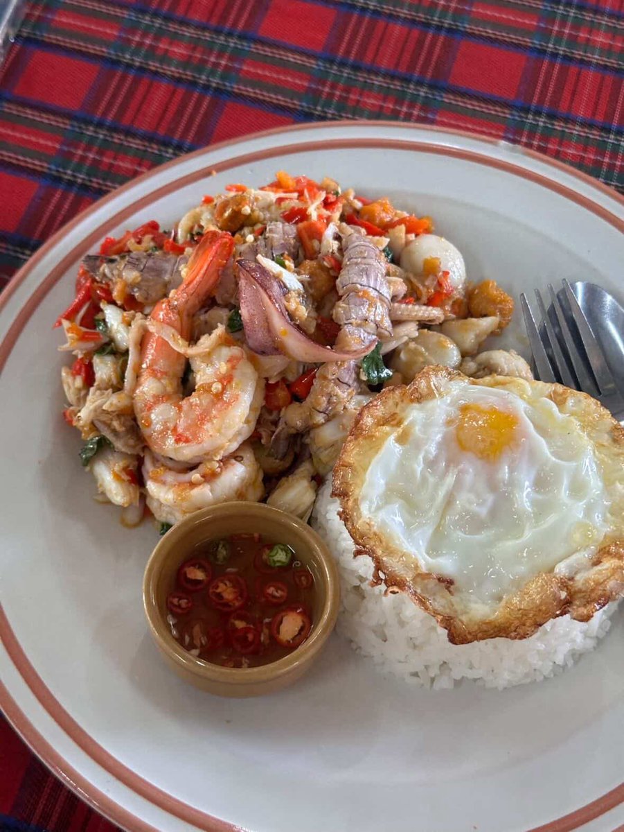 #fallinพากิน แก้วกะเพราปู ร้านดังพัทยา อร่อยสะใจมาก ราคาแบบคุ้มค่า ราราดี ให้เยอะมาก ไข่เจียวจานใหญ่มาก 20฿ โชคดีมีโต๊ะว่างเพราะโต๊ะแน่นมากกกก แต่ข้อเสียคือร้อน ร้อนแบบโซฮอท 🥵