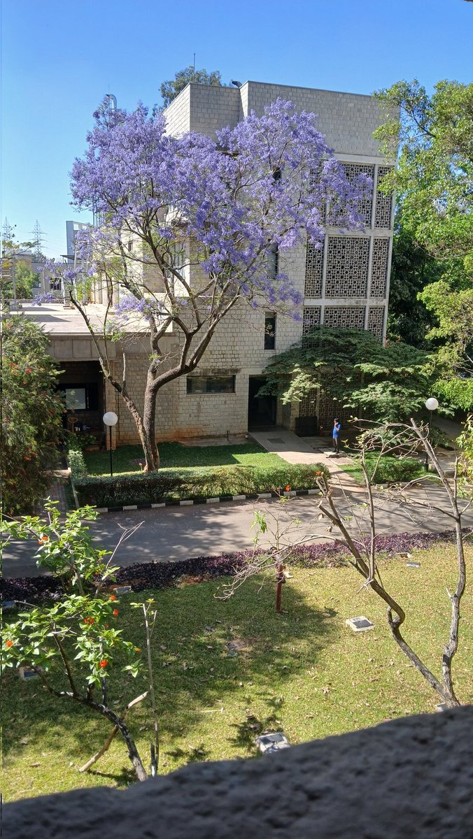 Anjali Marar tweet media