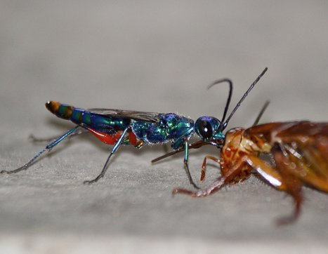 Гешототамгиня tweet media