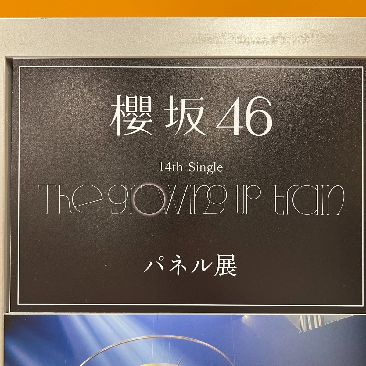 櫻坂46】 「The growing up train」本日発売💿 #櫻坂46_TGUT 広島店