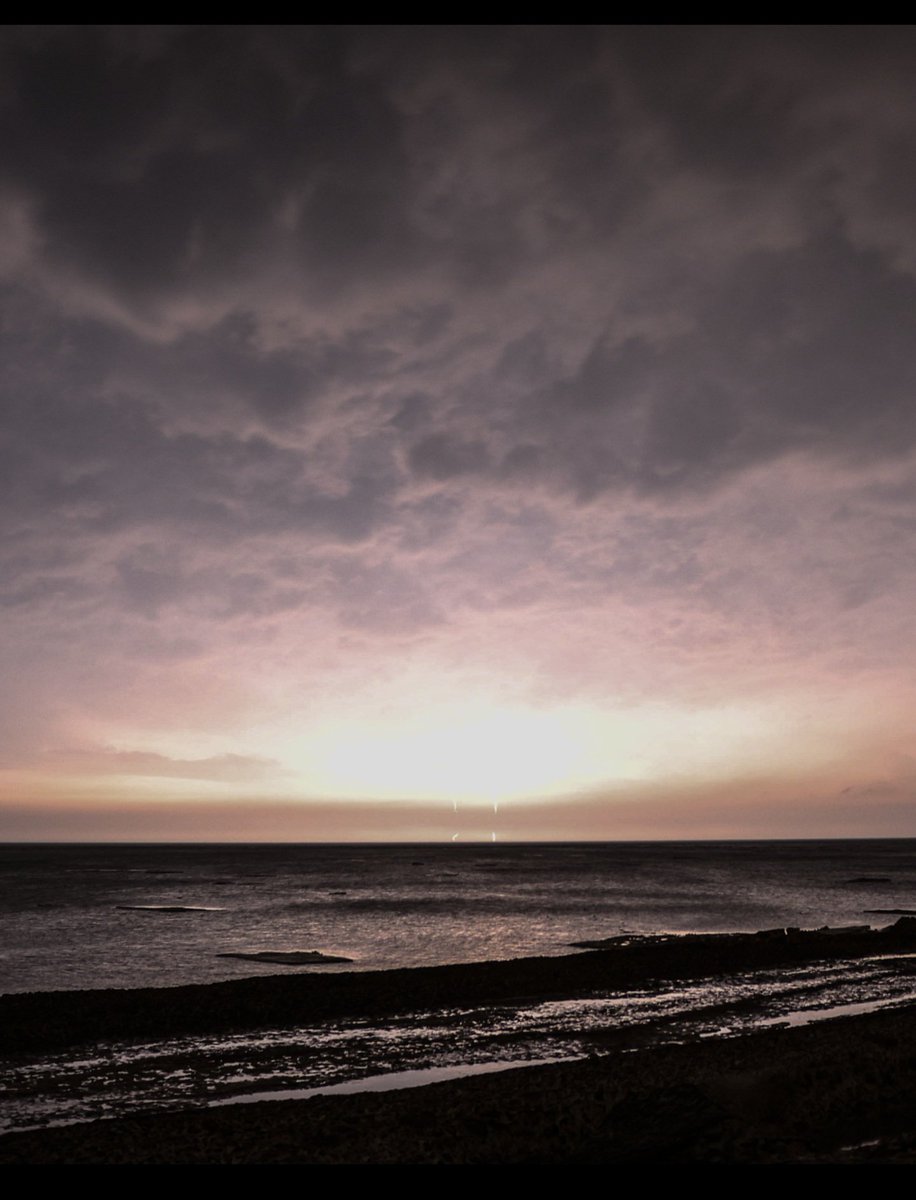 Alex Masse tweet media