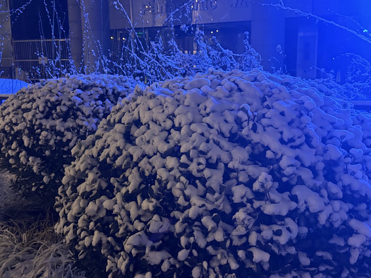 keynokeyone's tweet photo. 记录下上周北京的雪 https://t.co/tZGOOrGkhT