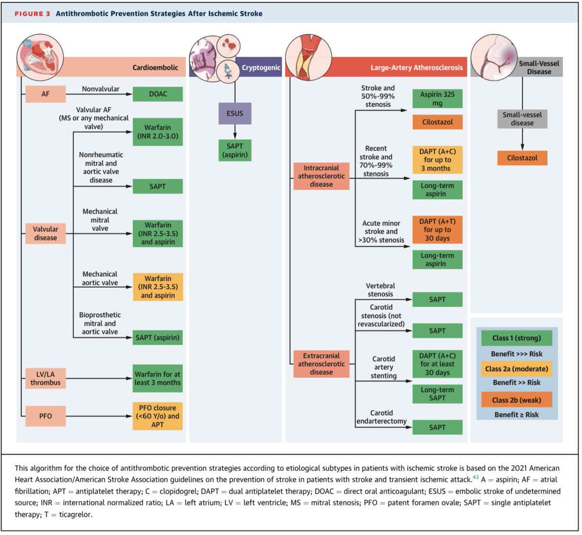 ArtGLa's tweet photo. Greco, A, Occhipinti, G, Giacoppo, D. et al. Antithrombotic Therapy for Primary and Secondary Prevention of Ischemic Stroke: JACC State-of-the-Art Review. JACC. 2023 Oct, 82 (15) 1538–1557.
https://t.co/lRjnKDAnXg https://t.co/ce0NVHFsj3