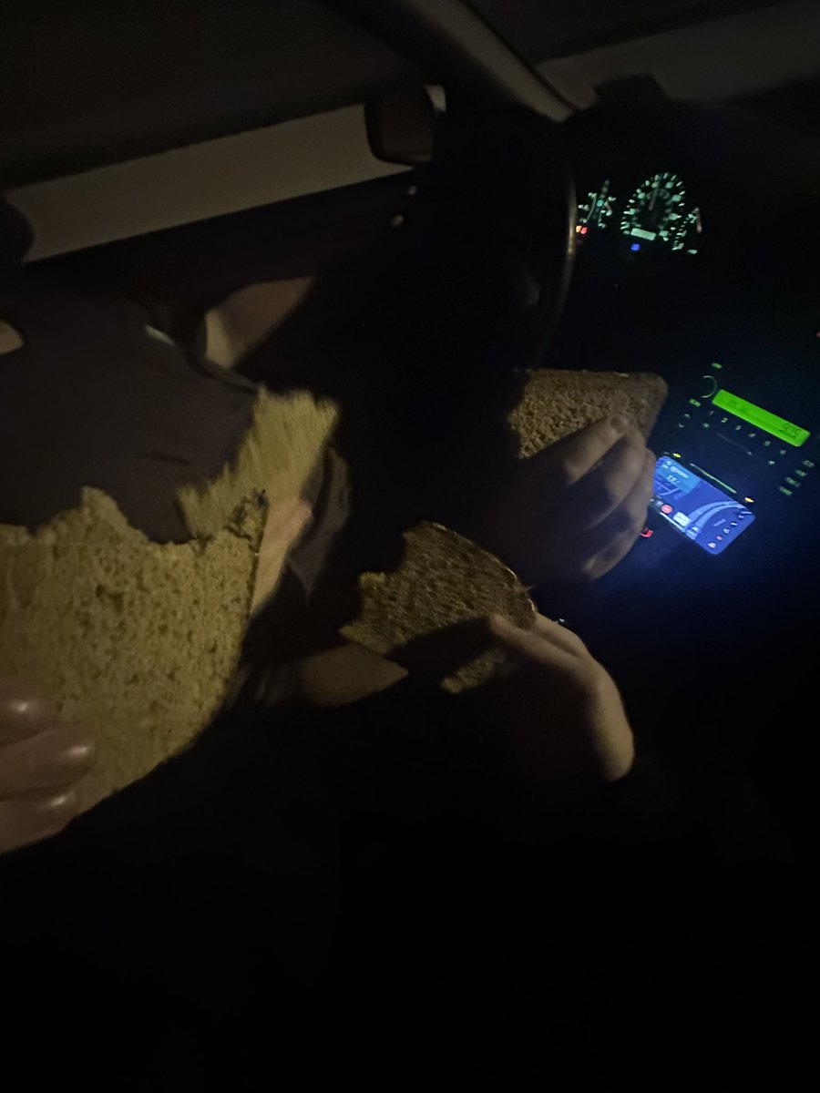 alex 🦦 tweet media