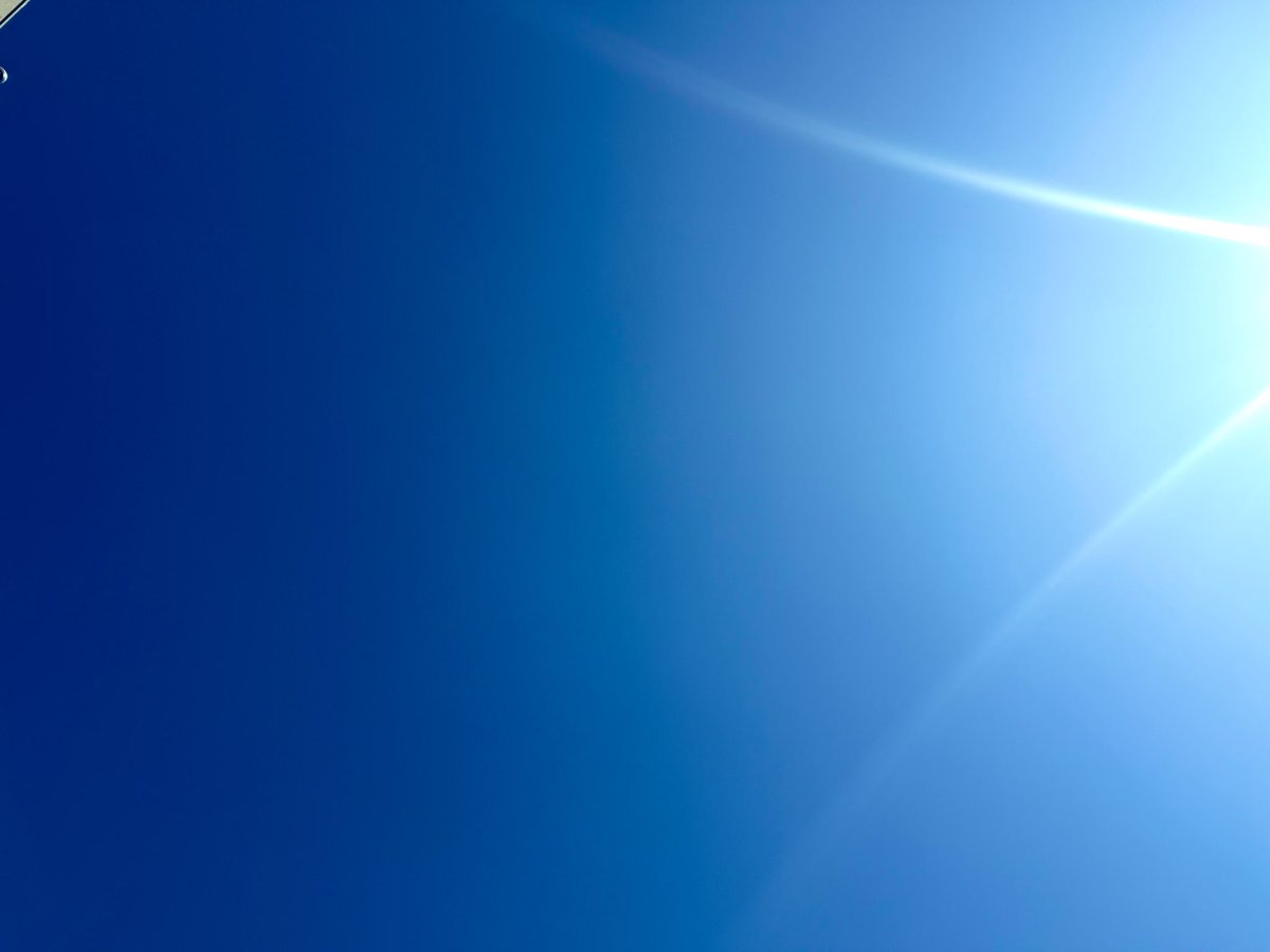 山田奈都美🕊💋 tweet media