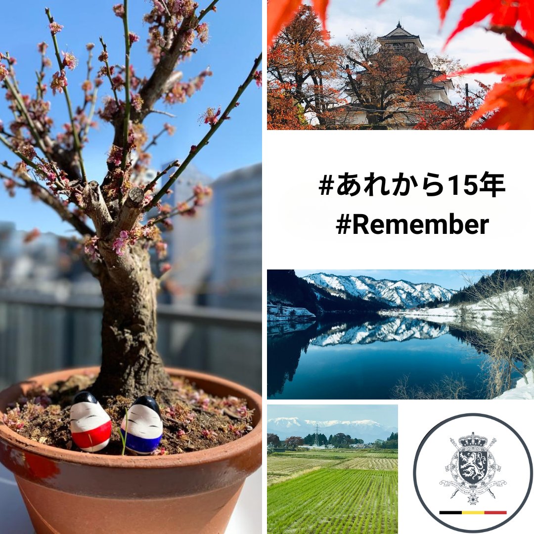 Belgium in Japan　駐日ベルギー大使館 tweet media