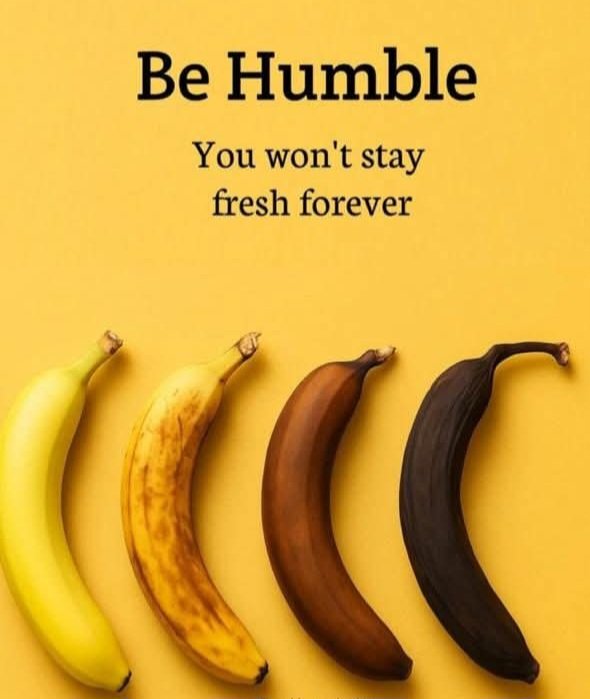 khawajaNNInews's tweet image. Be humble, you won't stay fresh forever. 
#LifeLession #LifeGoals