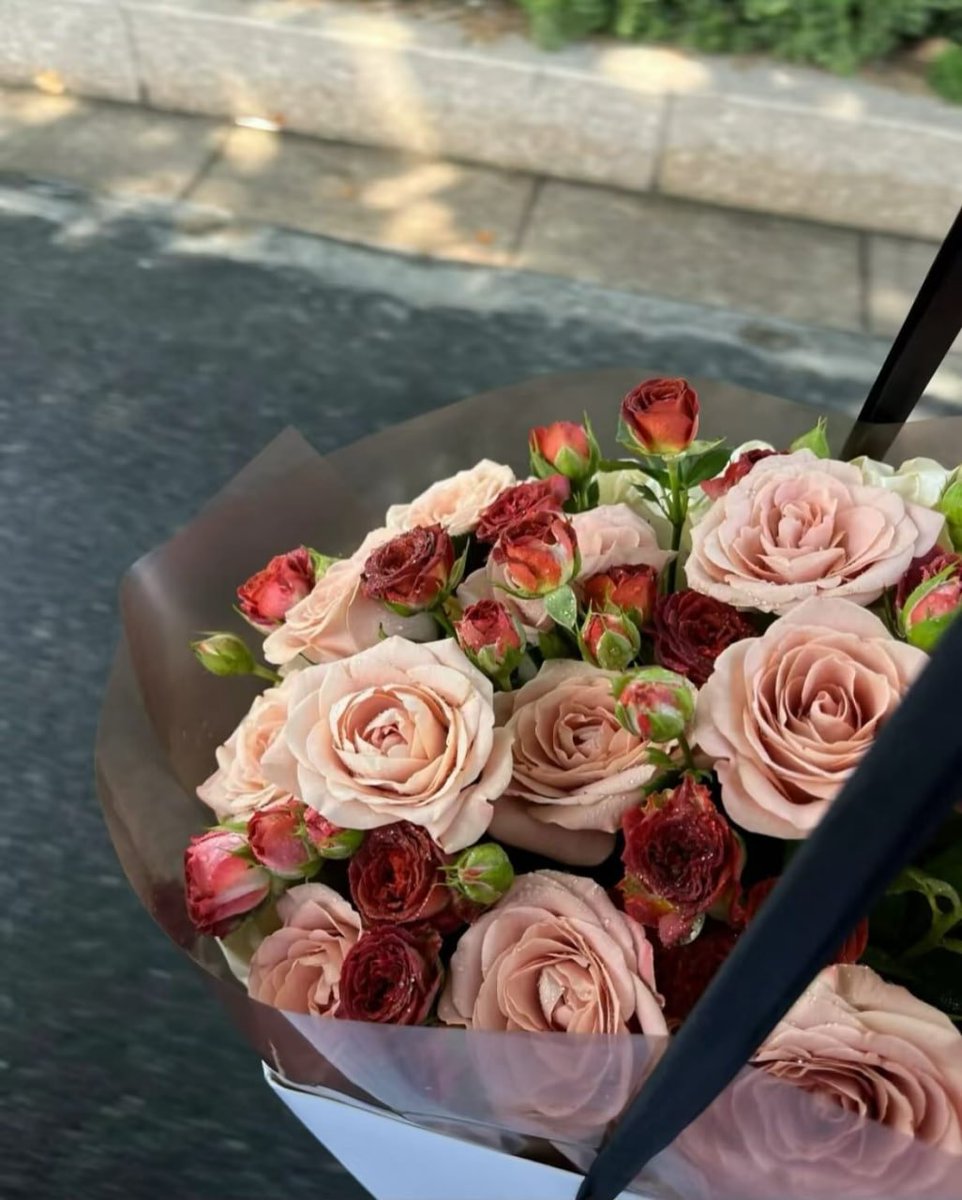 三重🌸芳𝗳𝗮𝗻 tweet media