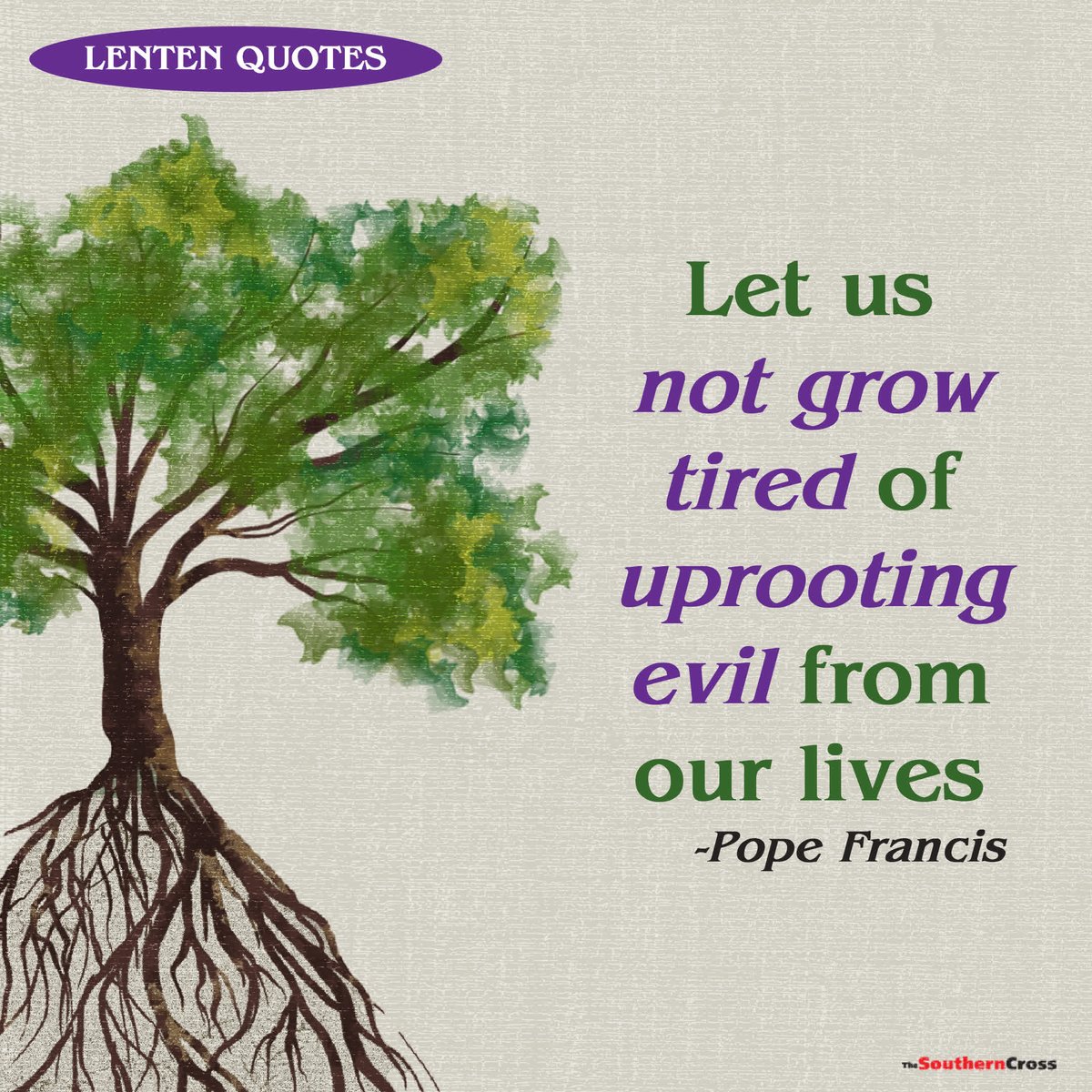 The Southern Cross  tweet media