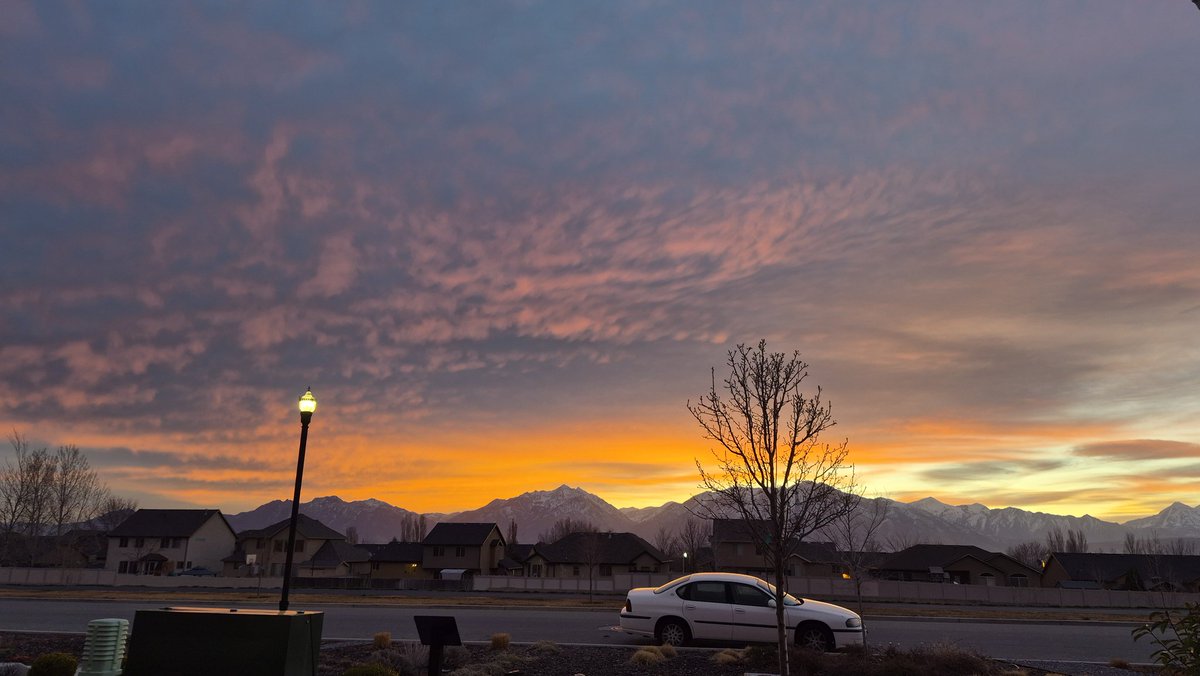 🐰kylie🐺 tweet media