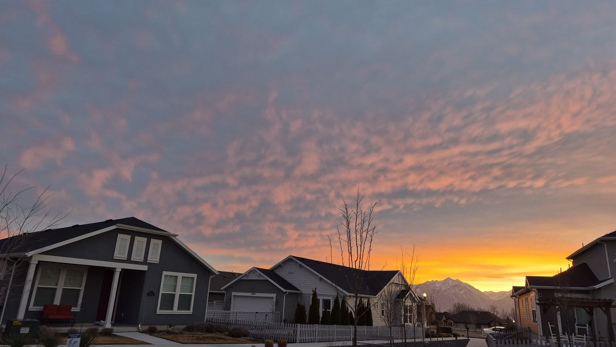 🐰kylie🐺 tweet media