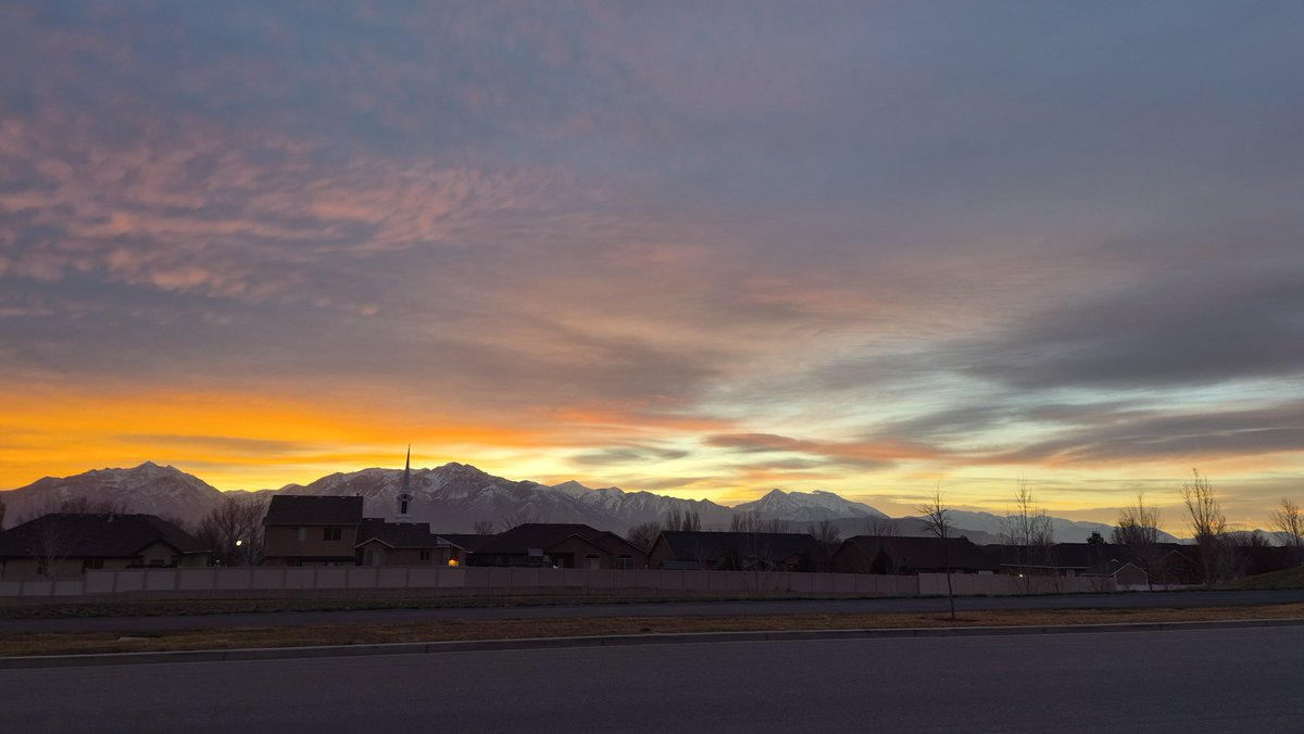 🐰kylie🐺 tweet media