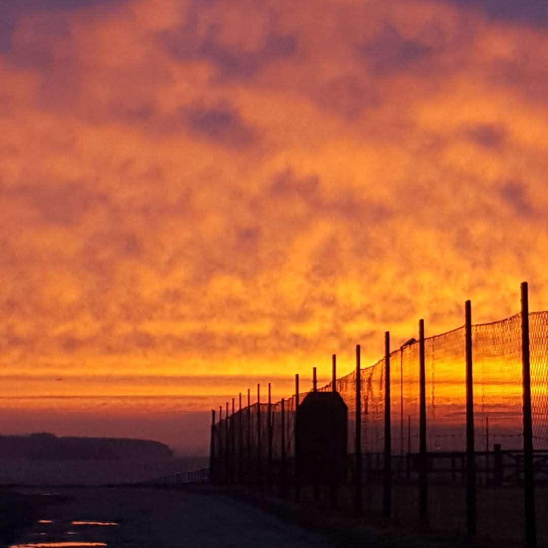 Heike John Ba tweet media