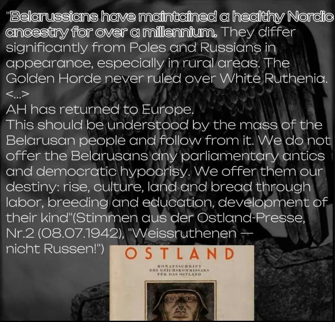 蓝衣社忠魂🇹🇼 tweet media