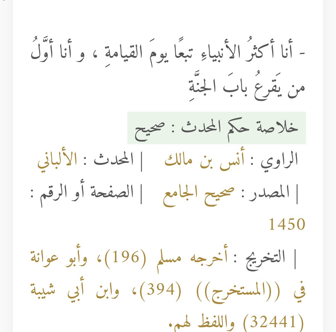 مشعل | Mishal ✨ tweet media