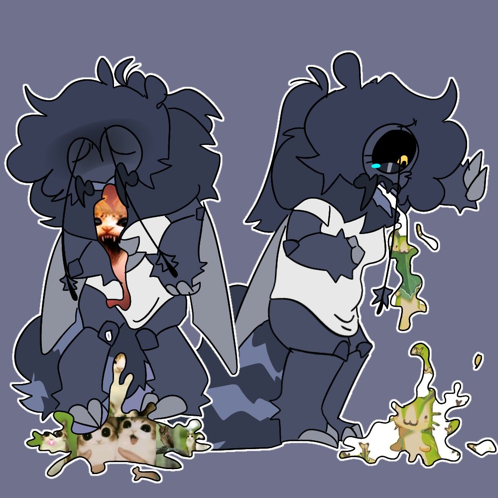 𝔹lueℂreator𝕄𝕍 tweet media