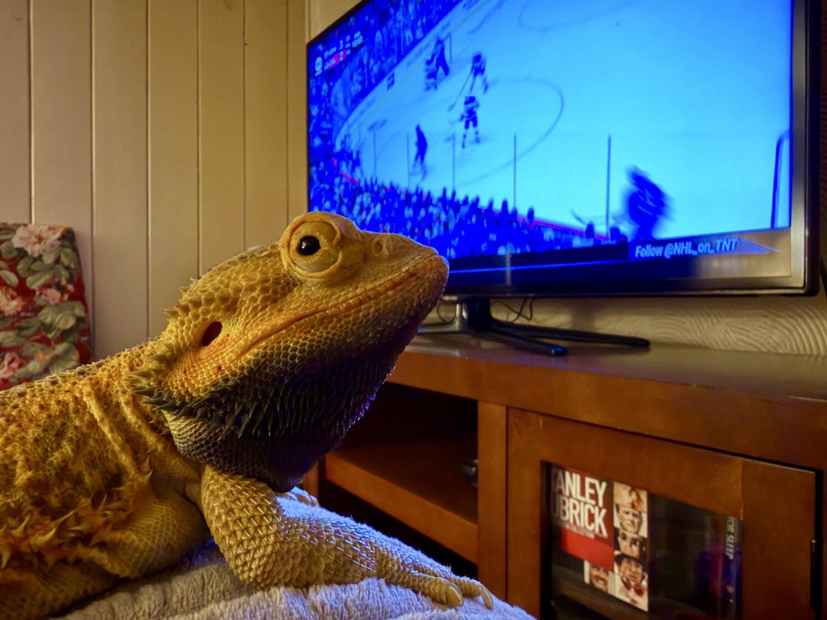 SuperPRGuy's tweet photo. Randall truly enjoyed the @EdmontonOilers game tonight.
#OilersWin https://t.co/35anraNUuJ