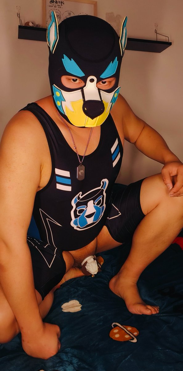 🚢小虎宝🐯 tweet media