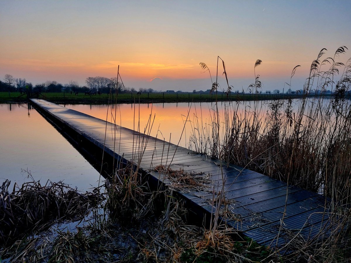 Tjark Dieterman tweet media